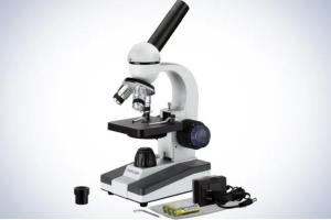 Microscope